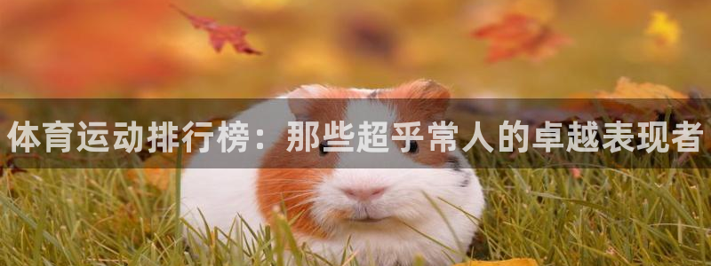 JJB竞技宝官网下载:体育运动排行榜:那些超乎常人的卓越表现