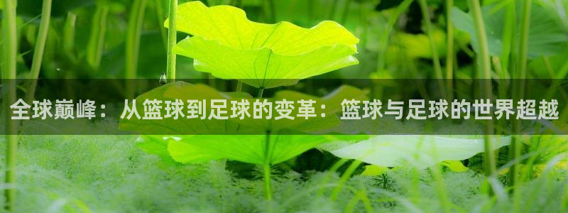 JJB竞技宝官方正版app神州:全球巅峰:从篮球到足球的变革